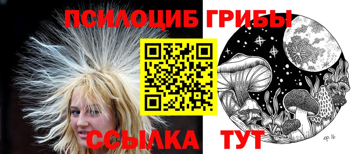 Казань  продажа наркотиков  Вход с VPN  Галлюциногенные грибы Cubensis 