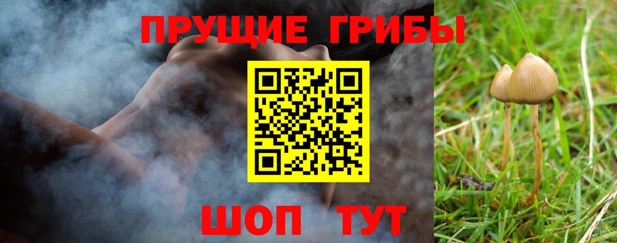 Псилоцибиновые грибы мухоморы Казань